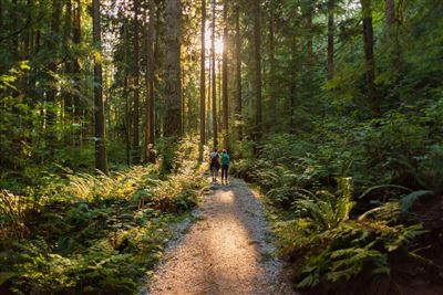 Mt. Seymour Provincial Park bei North Vancouver